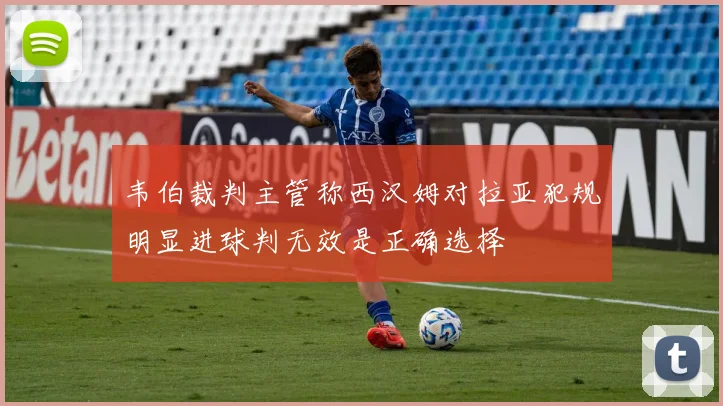 韦伯裁判主管称西汉姆对拉亚犯规明显进球判无效是正确选择